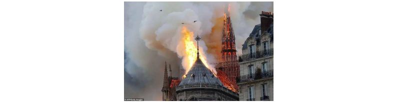 1555463475547450.jpg 239.jpg