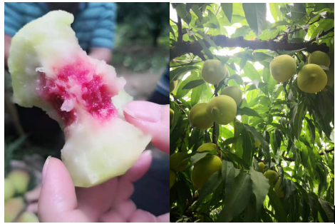 1562902187790882.png image.png