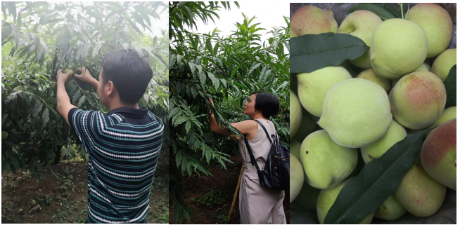 1562902293643234.png image.png